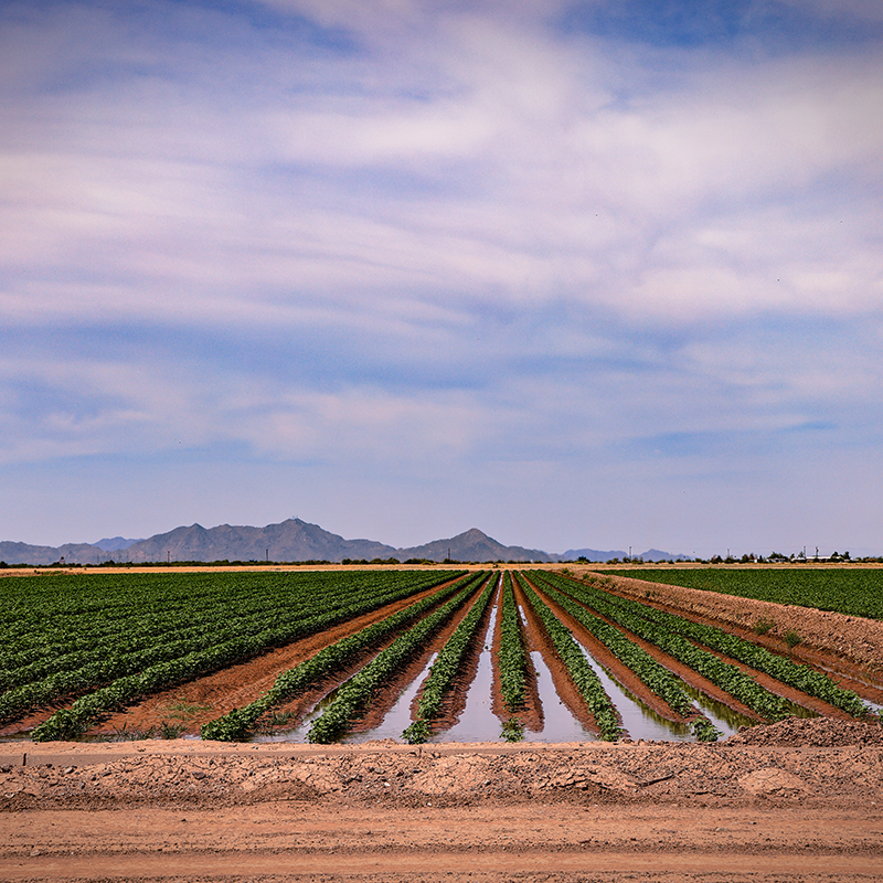 Federal Affairs October 2023 Colorado River District 2024   AdobeStock 527170683 